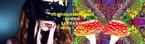 молекула духа Горнозаводск