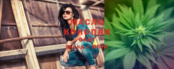 молекула духа Горнозаводск