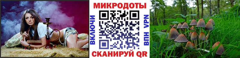 Купить где  Звенигово  Псилоцибиновые грибы MAGIC MUSHROOMS 